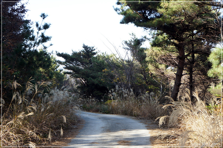 2010_11_28_Geoje_Angim_Trail006.jpg