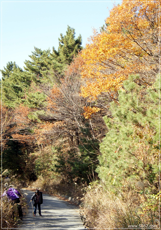 2010_11_28_Geoje_Angim_Trail008.jpg