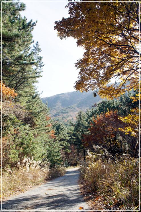 2010_11_28_Geoje_Angim_Trail010.jpg