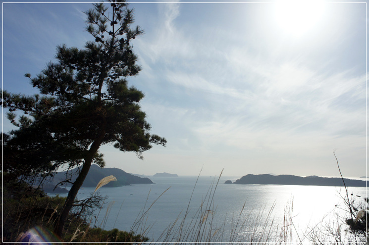 2010_11_28_Geoje_Angim_Trail031.jpg