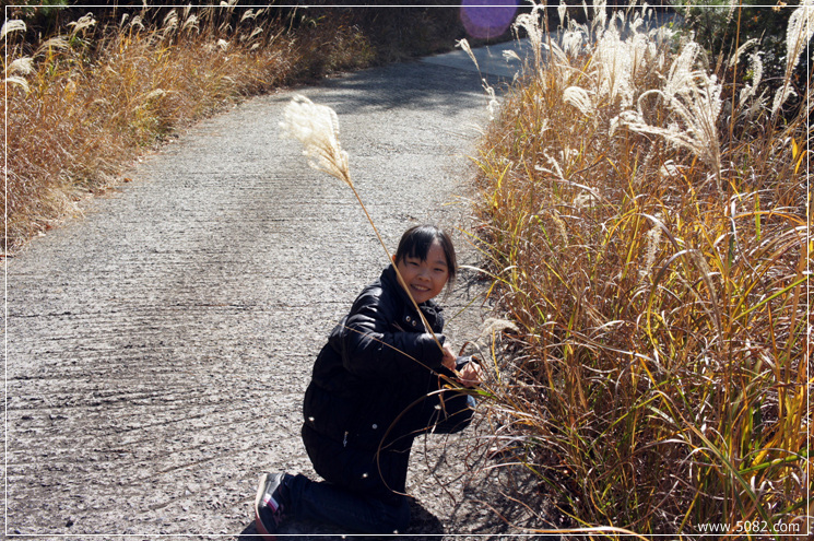 2010_11_28_Geoje_Angim_Trail007.jpg