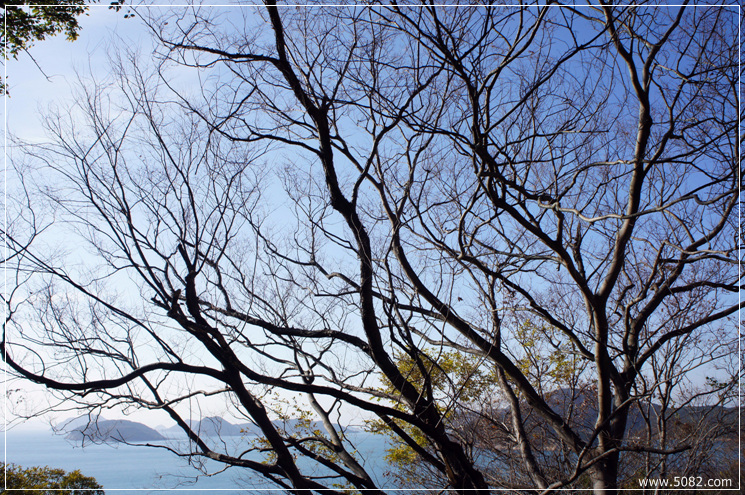 2010_11_28_Geoje_Angim_Trail027.jpg