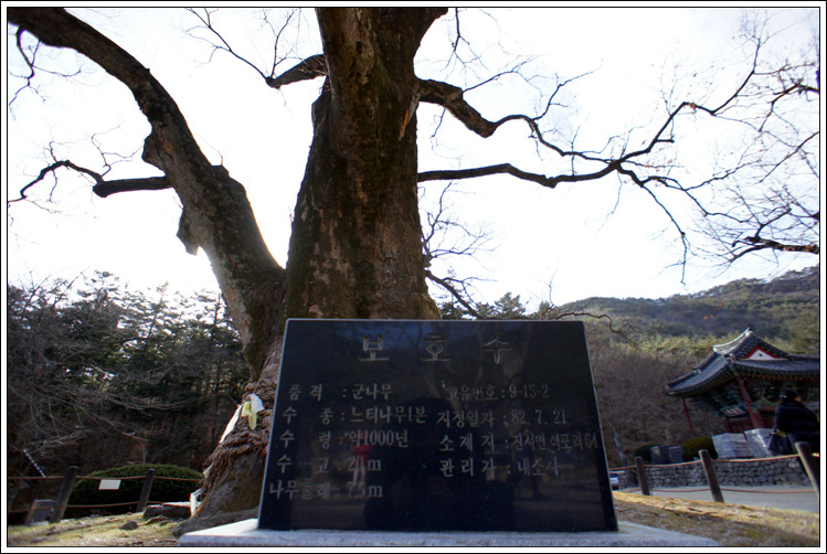 2012_01_25_Naesosa_040.jpg