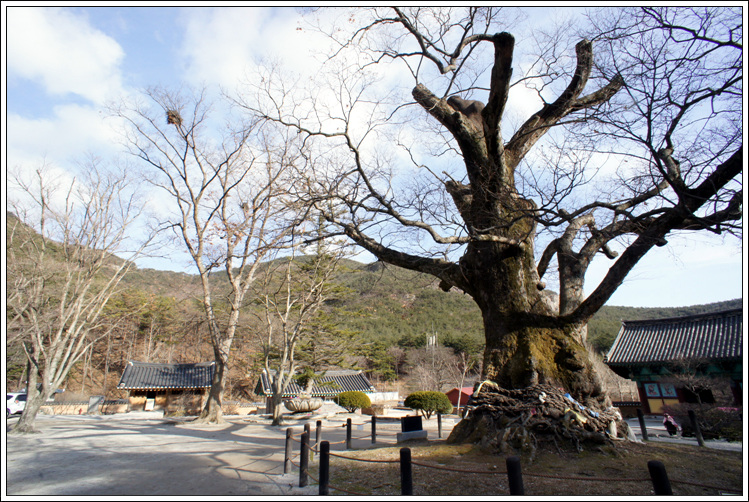 2012_01_25_Naesosa_070.jpg