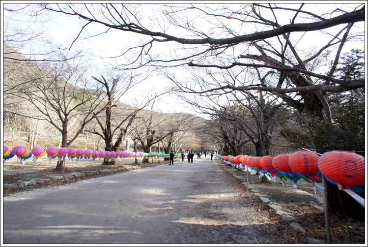 2012_01_25_Naesosa_075.jpg